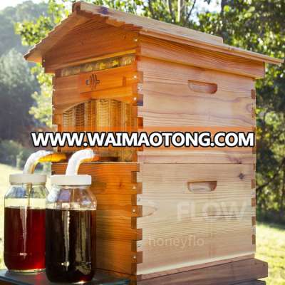 New Design Australia Auto Flow Bee Hive/Flow Hive Beehive From China