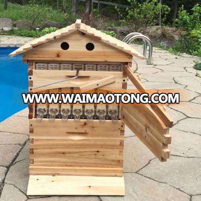 Beekeeping Hive Tools Auto Honey Flow Bee Hive House Complete