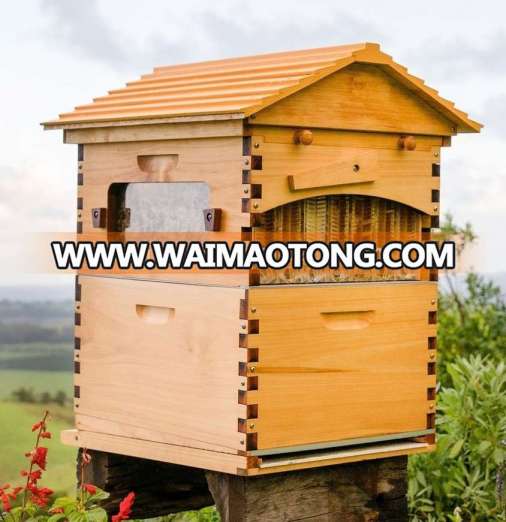 Chinese Automatic Honey flow hive,Honey bee hive,Flow beehive with free flowing honey