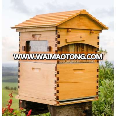 Chinese Automatic Honey flow hive,Honey bee hive,Flow beehive with free flowing honey